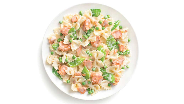 Alfredo - 3 Pack